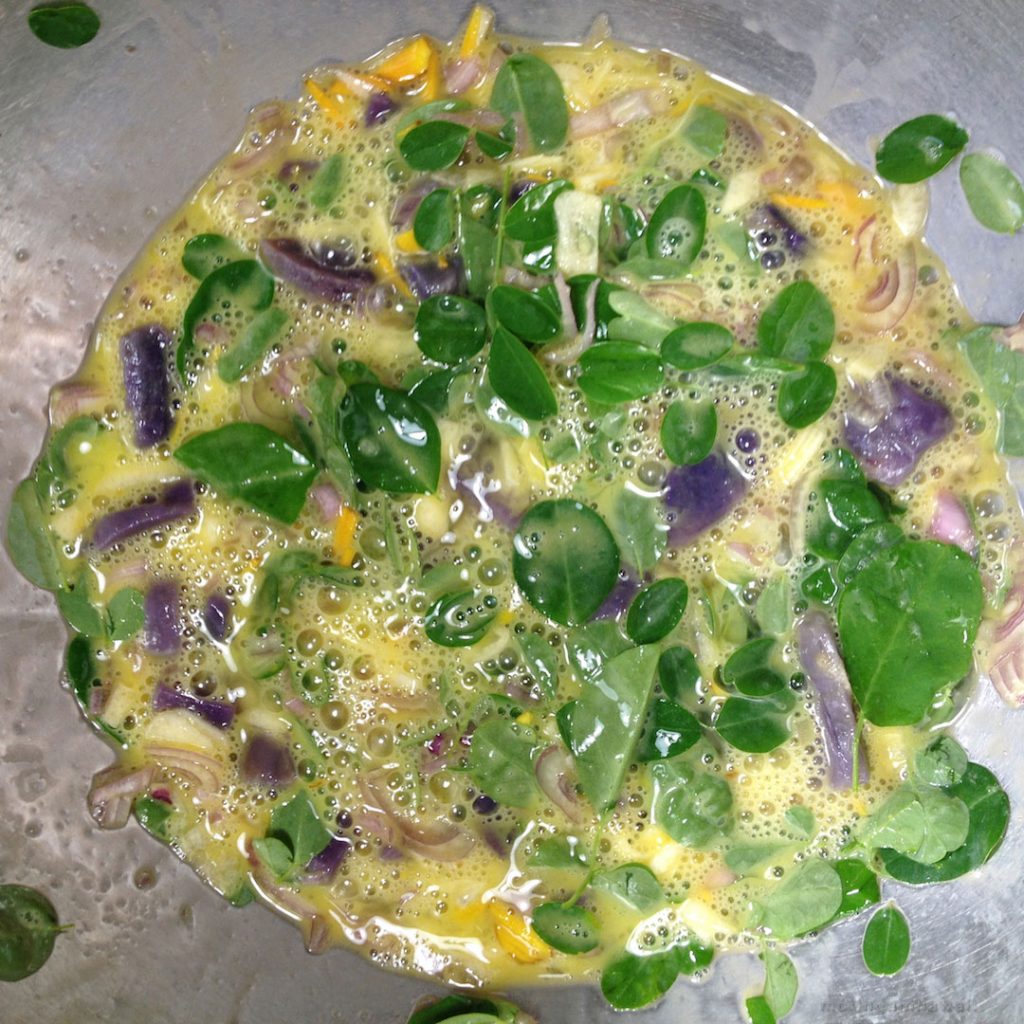 Moringa leaves frittata in the frying pan