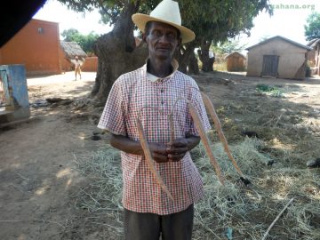 Zahana's representative in the village in Madagascar with moringa oleifera seed pods