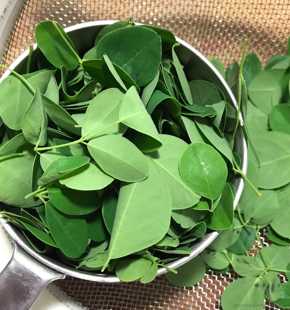 A cup of stripped and cleaned moringa leaves
